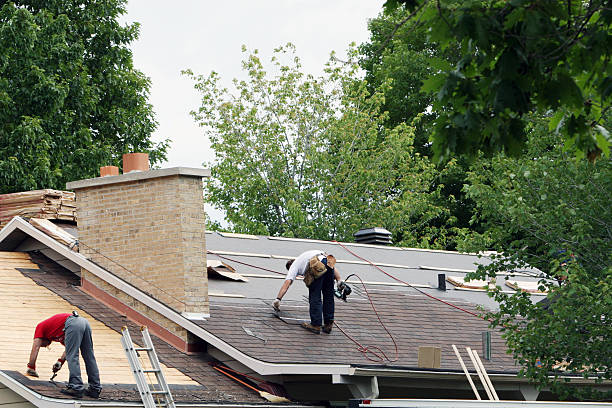 Best New Roof Installation  in Roosevelt, NJ